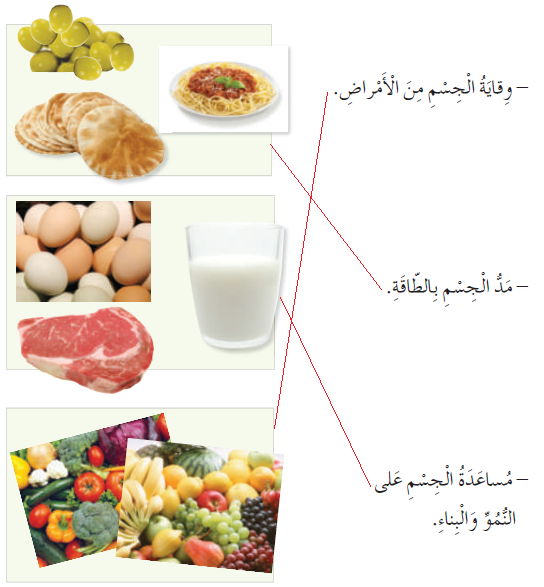 صل بخط بين الأطعمة وفوائدها الرئيسة للجسم